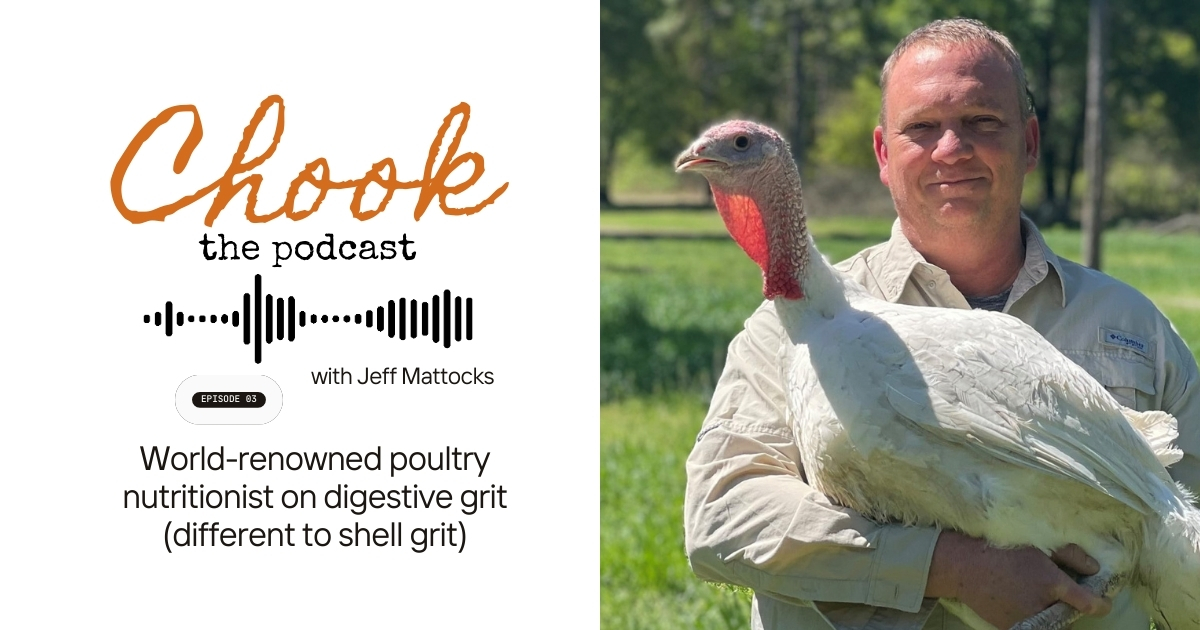 Jeff Mattocks Chook. The Podcast Episode 3 on Digestive Grit